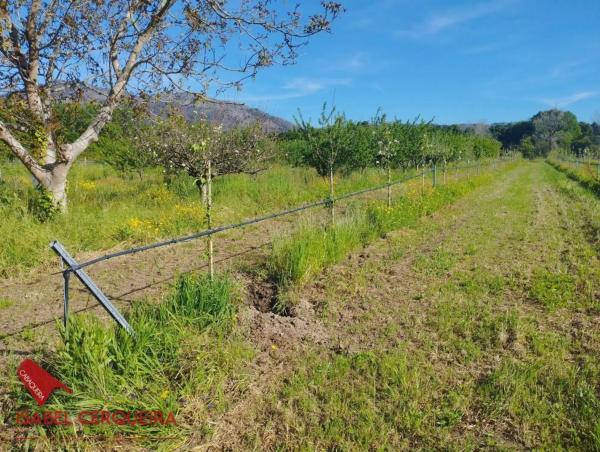 Terreno en camino de Eiras