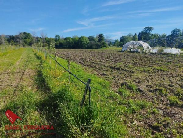 Terreno en camino de Eiras