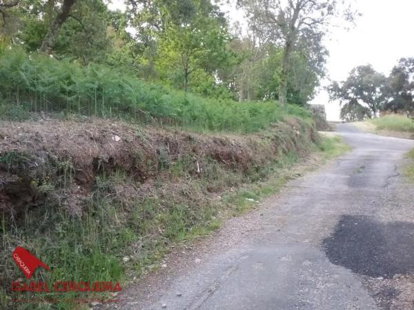 Terreno en Lugar o Monte Real, 3