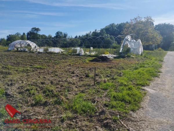 Terreno en camino de Eiras