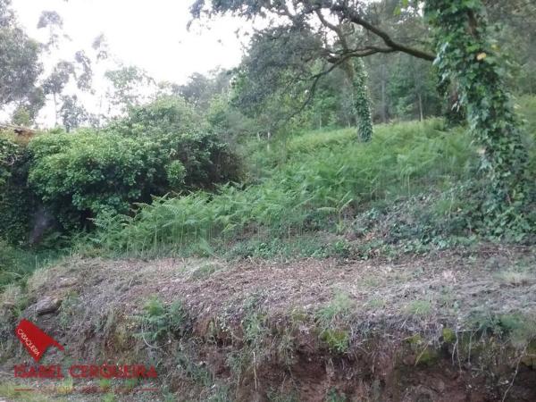 Terreno en Lugar o Monte Real, 3