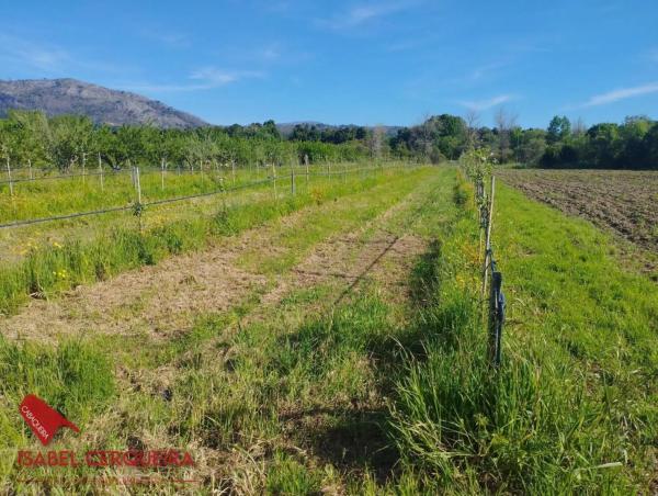 Terreno en camino de Eiras