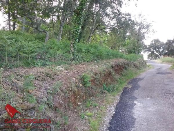 Terreno en Lugar o Monte Real, 3