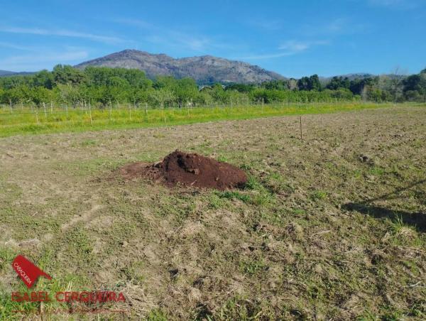 Terreno en camino de Eiras
