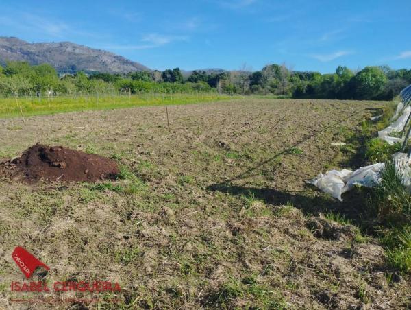 Terreno en camino de Eiras