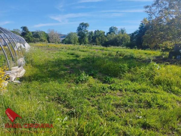 Terreno en camino de Eiras