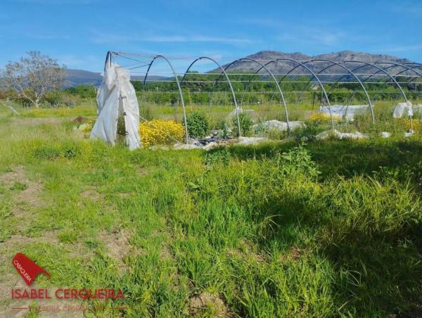 Terreno en camino de Eiras