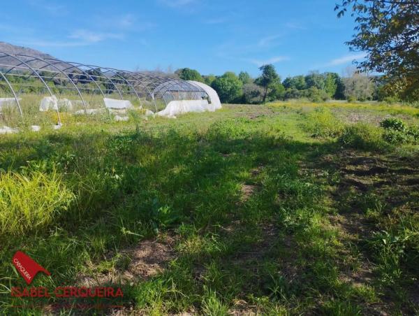 Terreno en camino de Eiras
