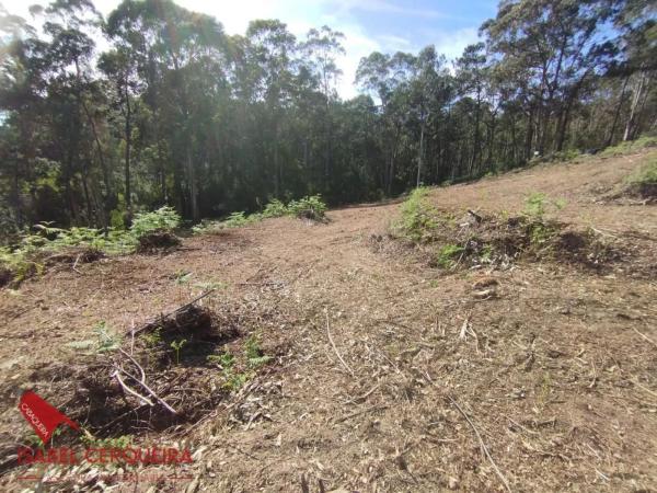 Terreno en camino dos Eiros, 19