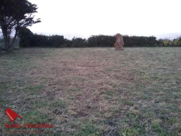 Terreno en camino de Pedornes, 39