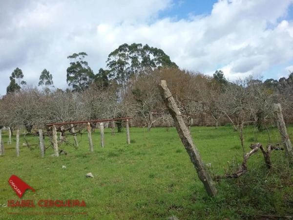 Terreno en Lugar a Cunchada, 12