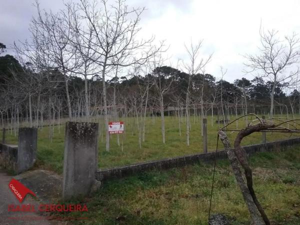 Terreno en camino da Retorta, 5