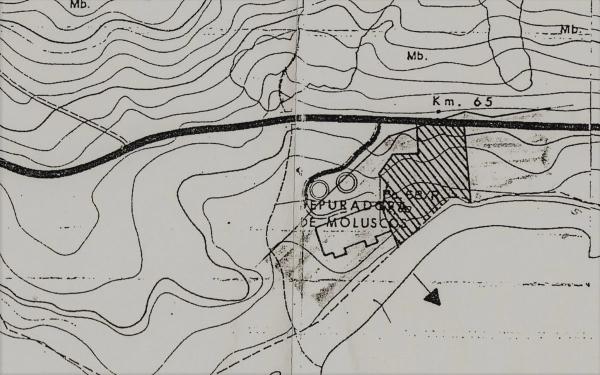 Terreno en camino Baiona - a Guarda, km 25