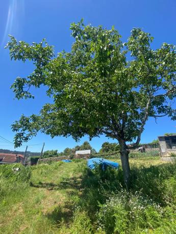 Terreno en Coto de Gaio, 51