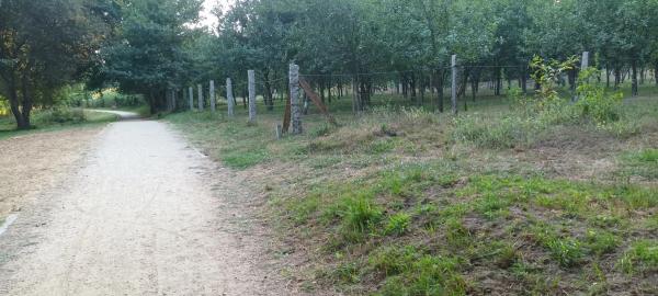 Terreno en fontela s/n