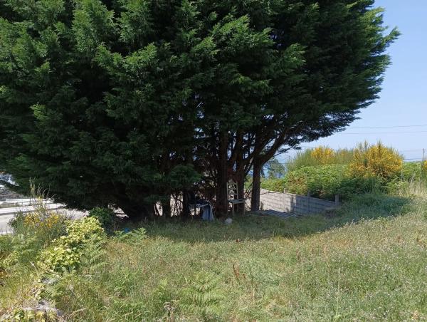 Terreno en calle Riña, km 156 g