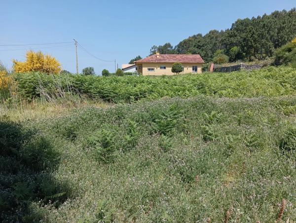 Terreno en calle Riña, km 156 g