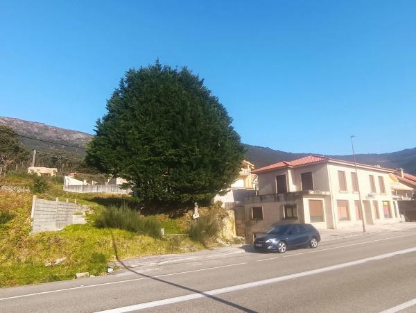 Terreno en calle Riña, km 156 g