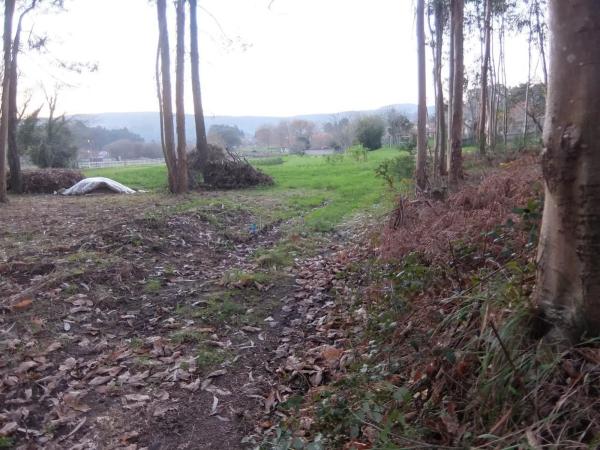 Terreno en Tomiño