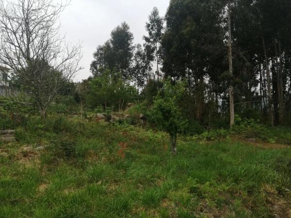 Terreno en Po-353, km 0