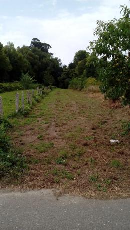 Terreno en carretera paramos s/n