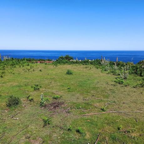 Terreno en calle Riña, km 34