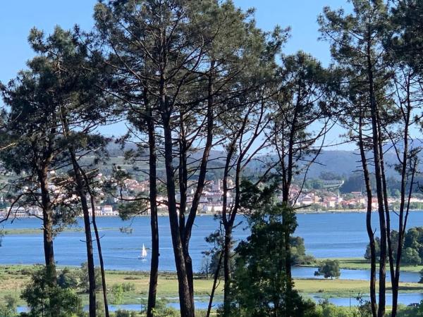 Terreno en camino da Maximina s/n