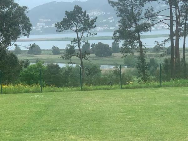 Terreno en camino da Maximina s/n