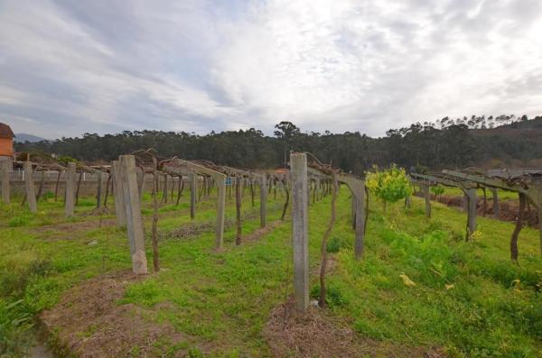 Terreno en Tui