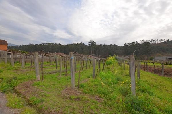 Terreno en Tui