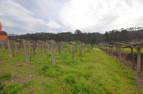 Terreno en Tui