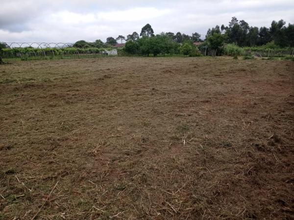 Terreno en Lugar o Ramo s/n