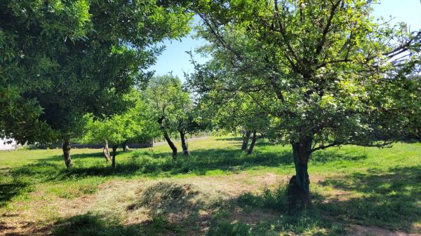 Terreno en Lugar o Urgal, 21