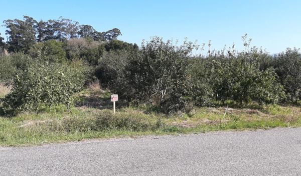 Terreno en camino das Pereiras, 1