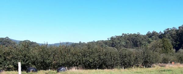 Terreno en camino das Pereiras, 1