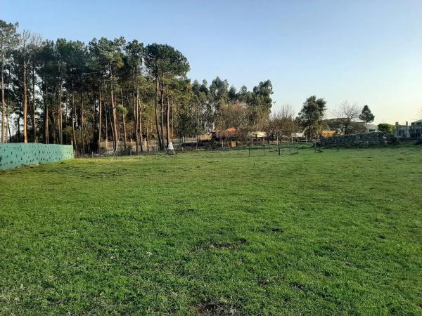 Terreno en lugar Randufe s/n