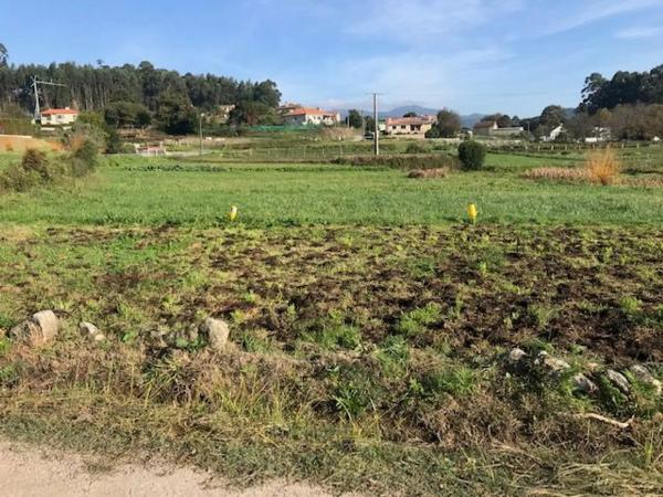Terreno en Piñeiro s/n