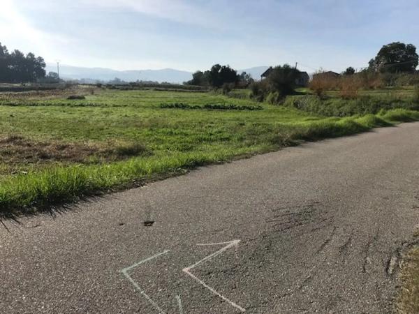 Terreno en Piñeiro s/n