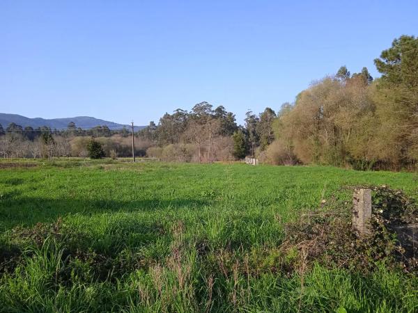 Terreno en calle Regueiriña, 1