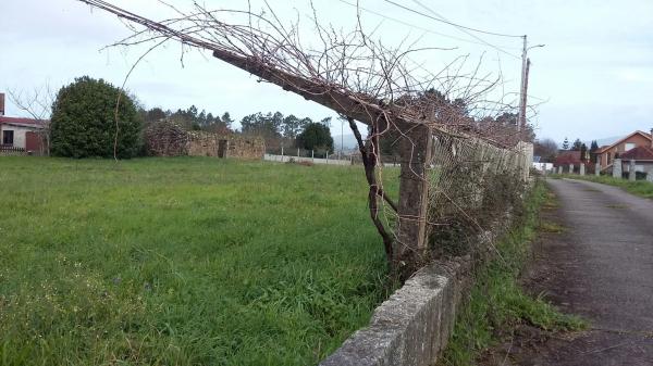 Terreno en calle arrotea s/n