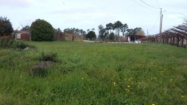 Terreno en calle arrotea s/n