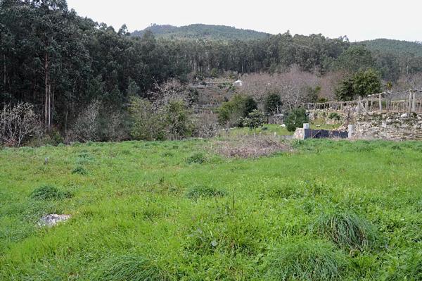 Terreno en Miranxe - Novás s/n