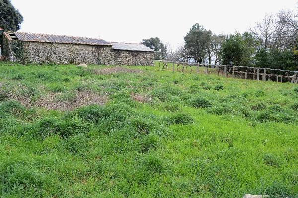 Terreno en Miranxe - Novás s/n