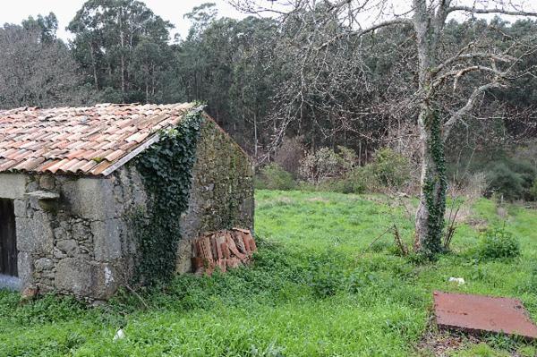 Terreno en Miranxe - Novás s/n