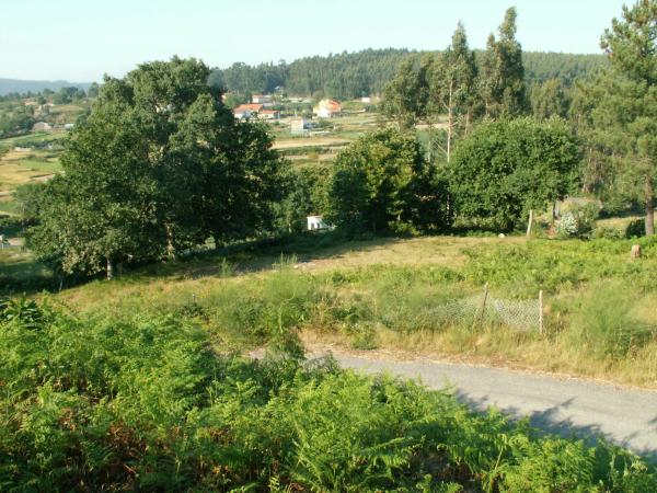 Terreno en Cristelos de Abajo s/n