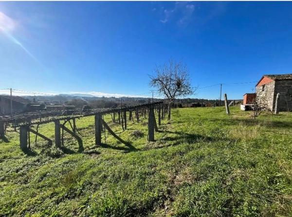 Terreno en Arcos de la Condesa, 16