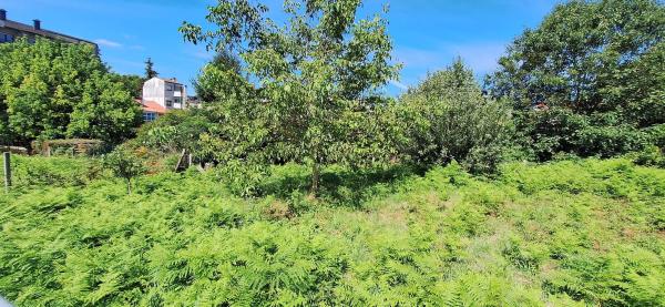 Terreno en calle Cima de Vila, 3