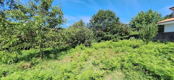 Terreno en calle Cima de Vila, 3