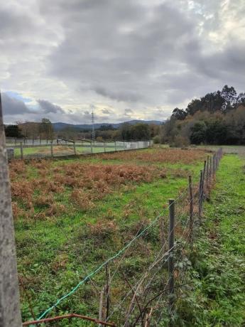 Terreno en Caldas de Reis, 521