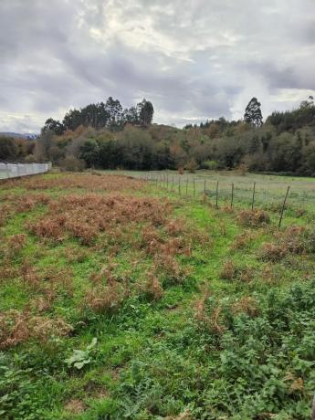 Terreno en Sequeiros, 521